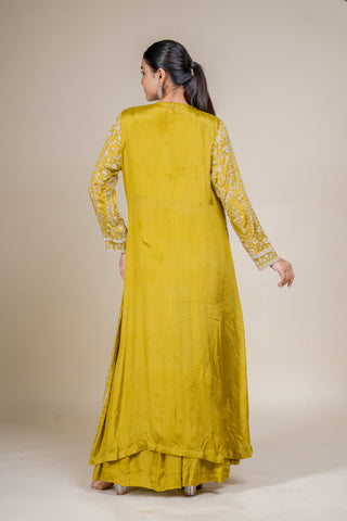Regal Olive Embroidered Jacket Style Palazzo Set
