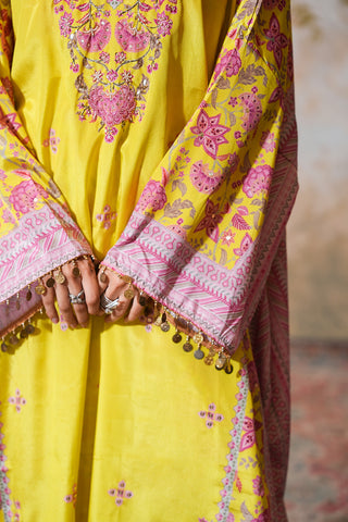Lime Crepe Silk Hand Embroidered Printed Kaftan With Lime Crepe Silk Printed Narrow Pants - Set of 2