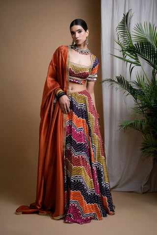 Multi Colour Digital Print Heavy Lehenga Set