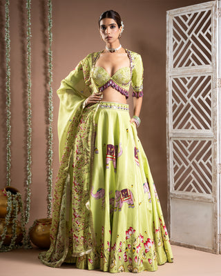 Elephant print green and purple lehenga set