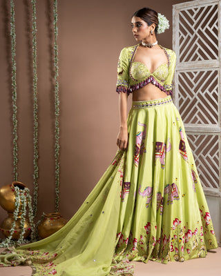 Elephant print green and purple lehenga set