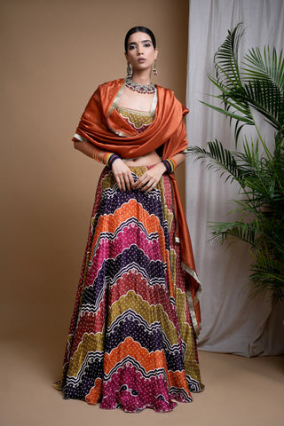 Multi Colour Digital Print Heavy Lehenga Set
