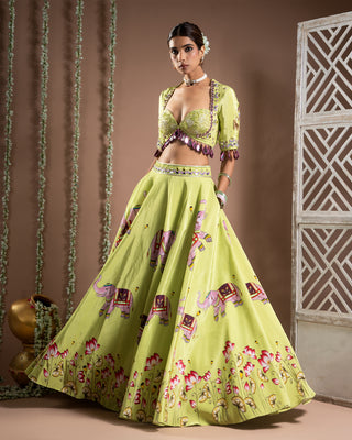 Elephant print green and purple lehenga set