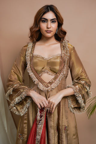 Golden Tissue Silk Anarkali Suit Set