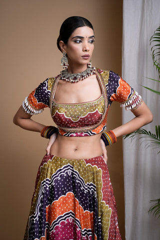 Multi Colour Digital Print Heavy Lehenga Set
