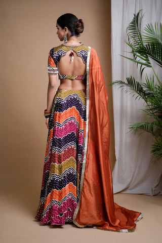 Multi Colour Digital Print Heavy Lehenga Set
