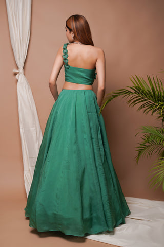 Bright Green 3-D Organza Indo Lehenga Set