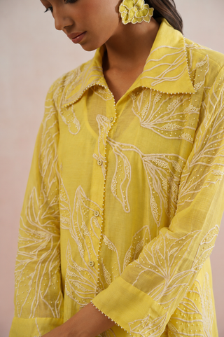 Mul chanderi embroidered button down dress