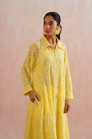 Mul chanderi embroidered button down dress