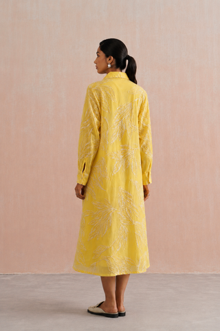 Mul chanderi embroidered button down dress