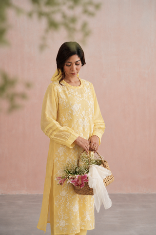 Mul chanderi pearl embroidered kurta paired with cotton pants