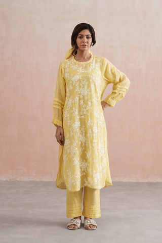 Mul chanderi pearl embroidered kurta paired with cotton pants