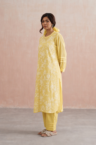 Mul chanderi pearl embroidered kurta paired with cotton pants