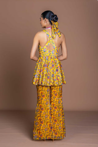 Sundrop Saas Flared Pant set set