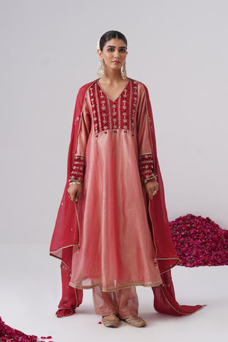 Baby Pink zardozi embroidered crushed tissue silk anarkali