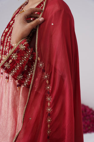 Baby Pink zardozi embroidered crushed tissue silk anarkali