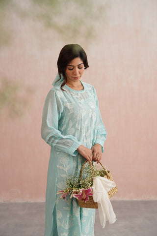Pale Blue Mul chanderi applique and pearl embroidered kurta
