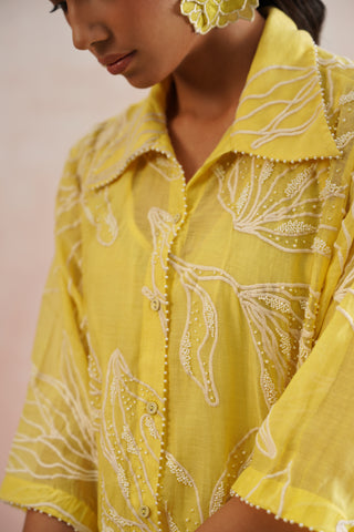 Lemon Yellow Mul chanderi pearl embroidered shirt paired with cotton pants - Set of 3