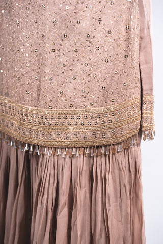 Shimmering Mocha Taupe Sharara Set