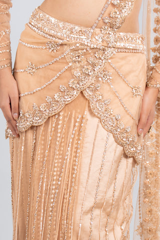 Champagne Gold Hand-Embellished Saree Set