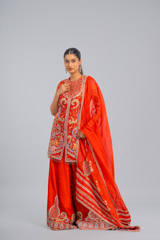 Rust Orange Embroidered Palazzo Set