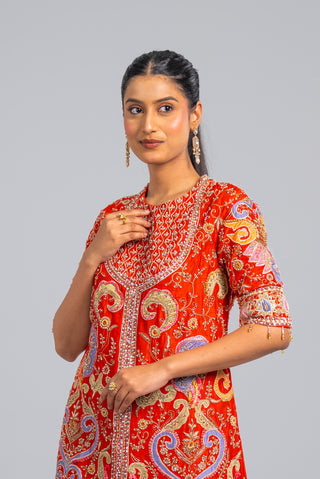 Rust Orange Embroidered Palazzo Set