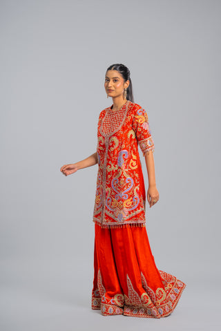 Rust Orange Embroidered Palazzo Set