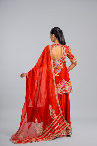 Rust Orange Embroidered Palazzo Set