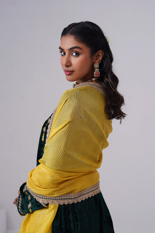 Emerald zardozi embroidered velvet kurta paired with yellow velvet pants and embroidered tissue chanderi stripe dupatta