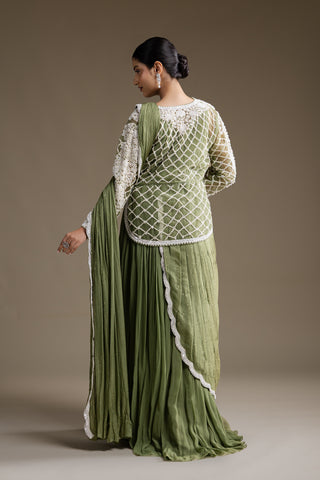 Earthy Olive Green Gown with Ivory Embroidery