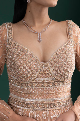 Nude Beige Full Sleeve Flared Gown with Swirl Embroidery