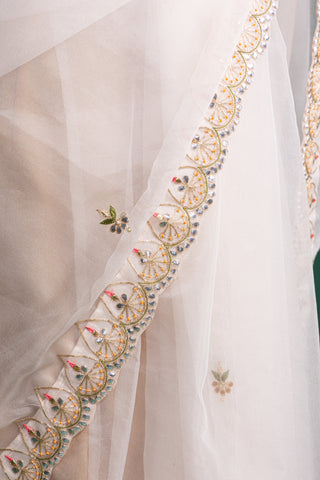 Ivory Organza Saree with Pastel Floral Embroidered Borders