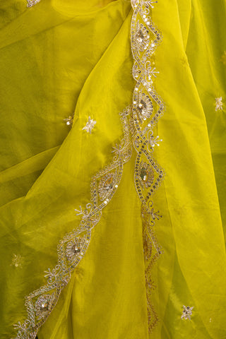 Citrus Gold Organza Saree with Handcrafted Gilded Embroidery