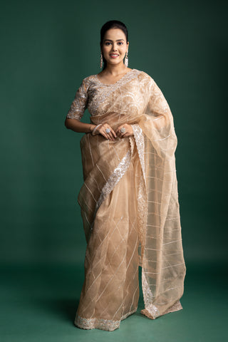 Mist Beige Organza Saree with Luxe Hand-Embroidered Detailing