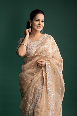 Mist Beige Organza Saree with Luxe Hand-Embroidered Detailing