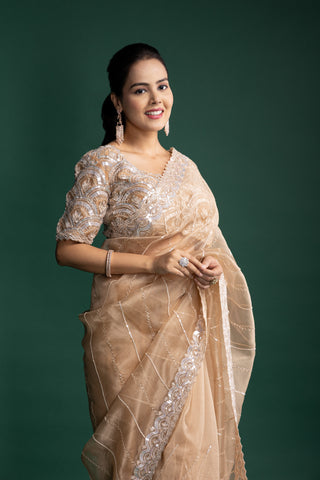 Mist Beige Organza Saree with Luxe Hand-Embroidered Detailing