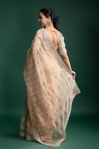Mist Beige Organza Saree with Luxe Hand-Embroidered Detailing