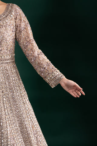 Mocha Brown Mirror Work Long Sleeve Gown