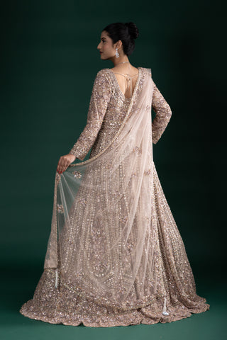 Mocha Brown Mirror Work Long Sleeve Gown