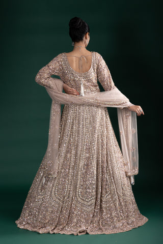 Mocha Brown Mirror Work Long Sleeve Gown