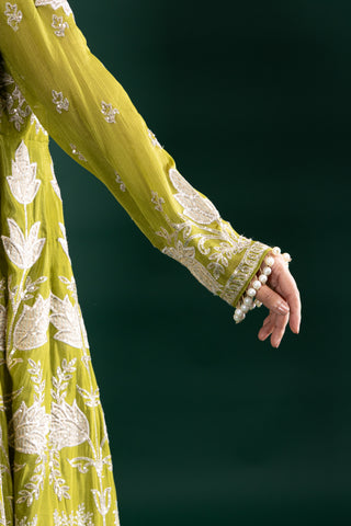 Olive Green Indo-Western Fusion Set