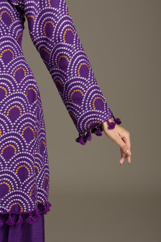 Deep Aubergine Glam Gharara Set with Bold Thread Work Embroidery