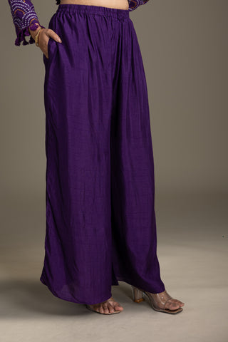 Deep Aubergine Glam Gharara Set with Bold Thread Work Embroidery