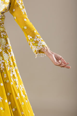 Golden Marigold Yellow Jacket  Anarkali