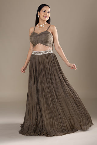 Smokey Taupe Brown Lehenga