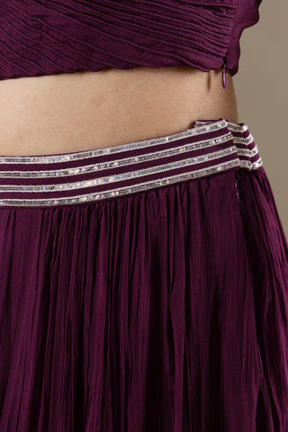 Mulberry Plum Lehenga