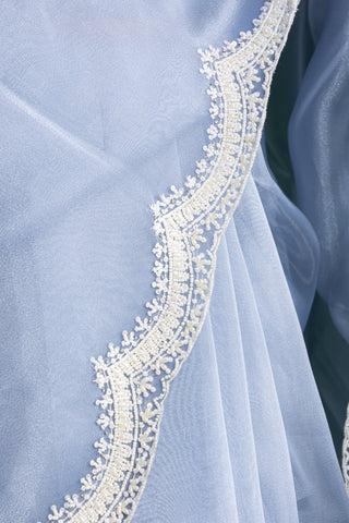 Ethereal Powder Blue Frost Saree