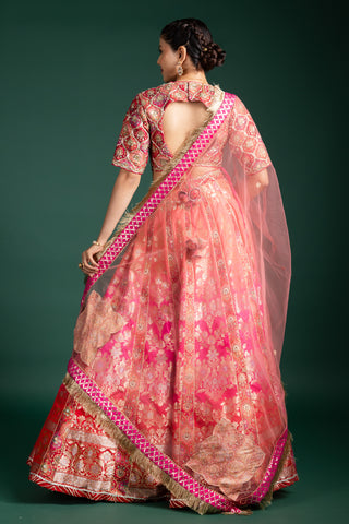 Blush Coral Lehenga with Opulent Golden Zari Accents