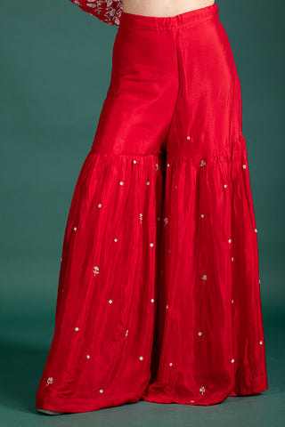 Scarlet Red Sharara  with  Embroidered Silver Detailing