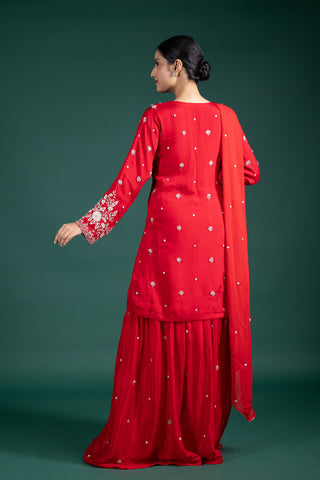 Scarlet Red Sharara  with  Embroidered Silver Detailing